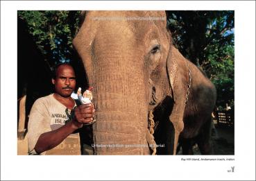 Buchseite: Der Gartenzweg ist in Indien und steht vor einem einem Elefant