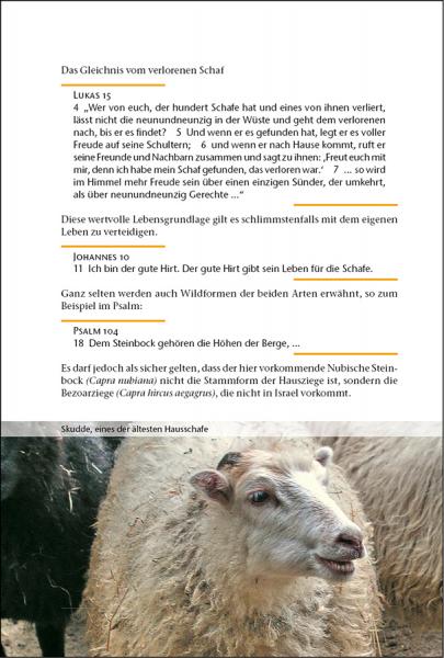 Schafe und Ziegen aus dem Buch und Gott schuf die Tiere von Frank Brandstätter
